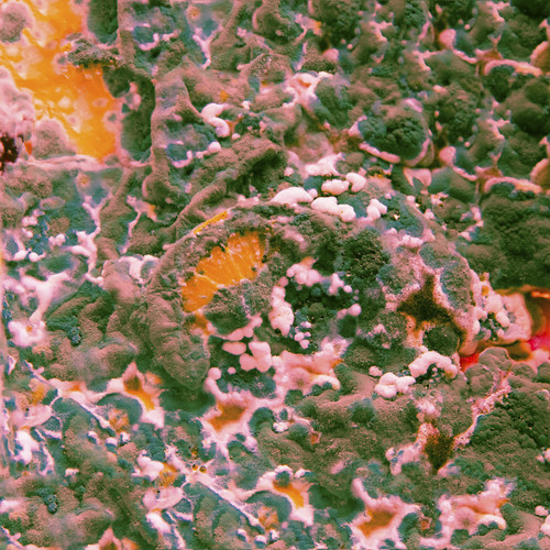 Marika Hackman Sugar Blind EP