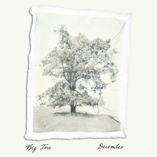 It's The Christmas Posts - No. 4: Big Tree