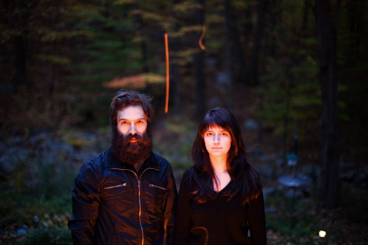 The Welcome Return of Brown Bird