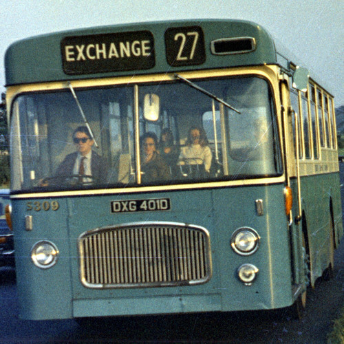 Introducing >>> Yellow Creatures