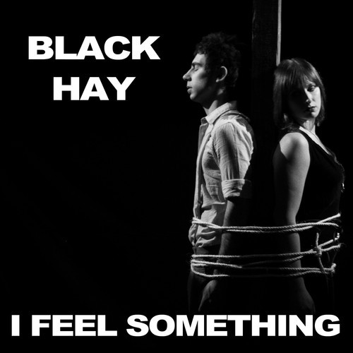 MM Shorts 507: Black Hay