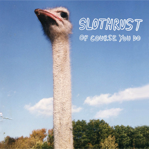 Introducing >>> Slothrust