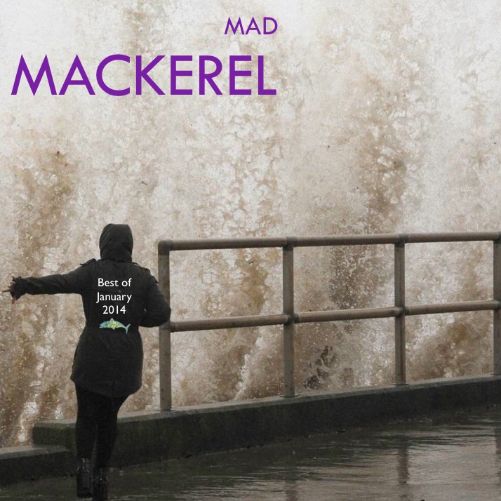 Mad Mackerel's Best Of January 2014 Free Downloads