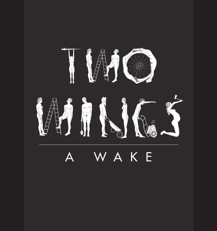 Introducing >>> Two Wings