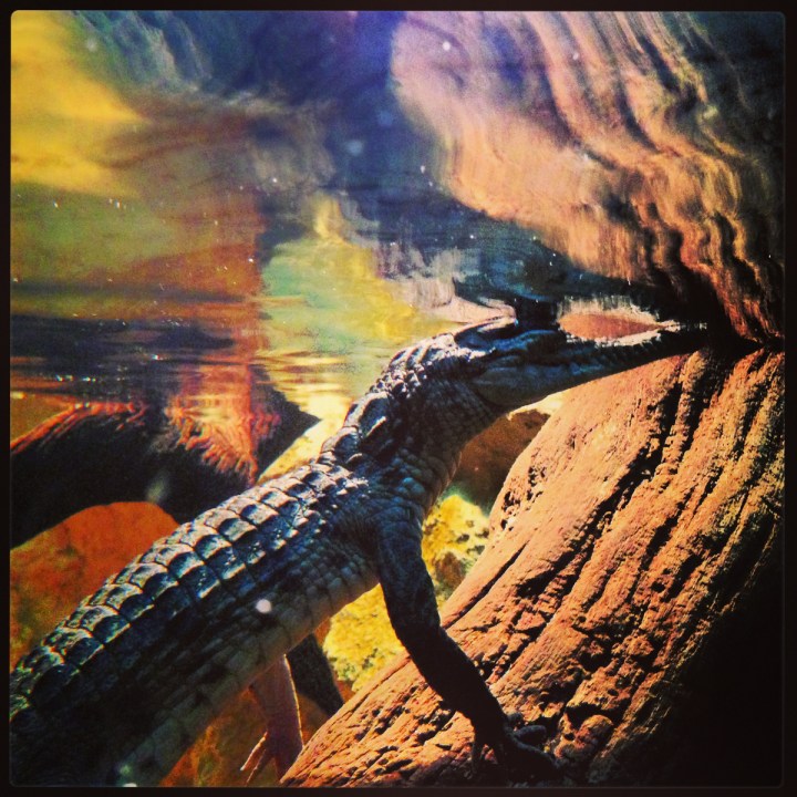 MM Shorts 548: Black Girls