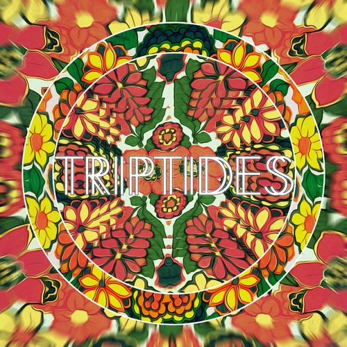 Triptides - Moonbeams
