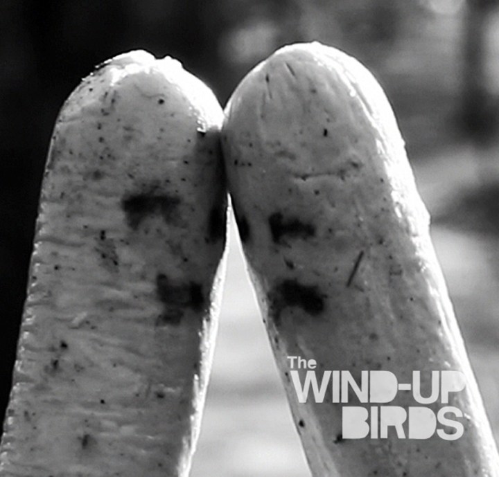 Wind-up Birds - The Gristle