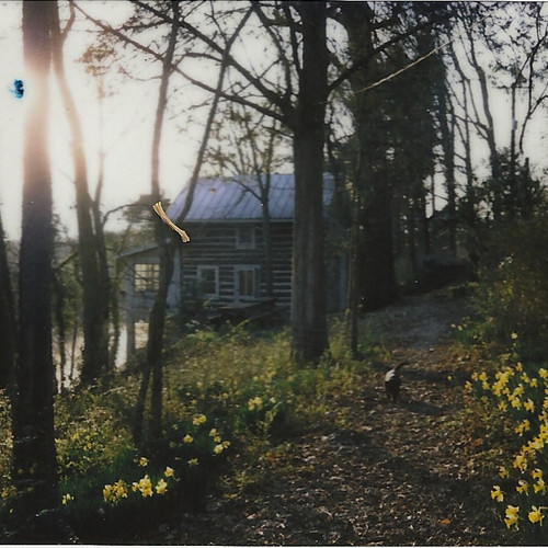 Introducing >>> I'm An Island