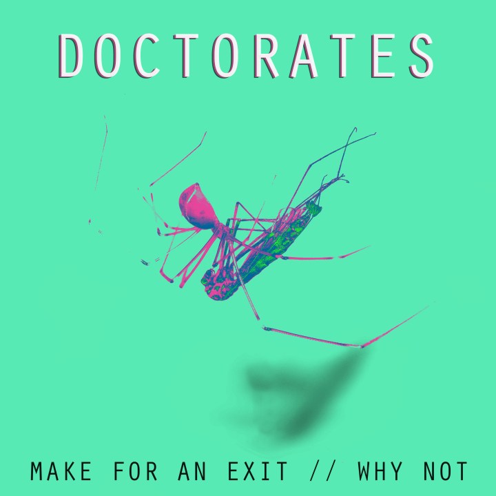 Introducing >>> The Doctorates