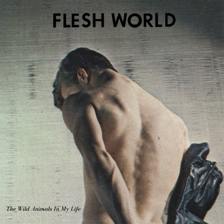 More From Flesh World