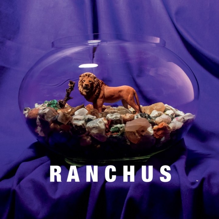 Introducing >>> Ranchus