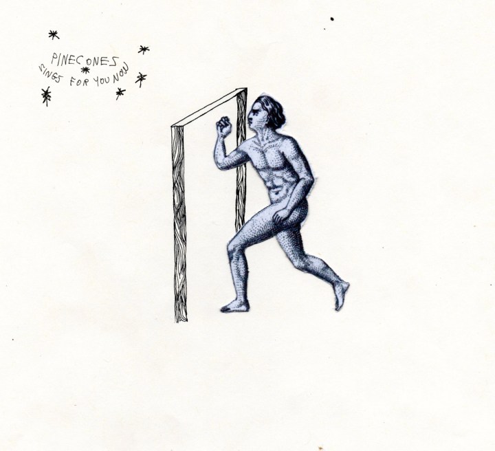 Mad Mackerel Recommends... Pinecones