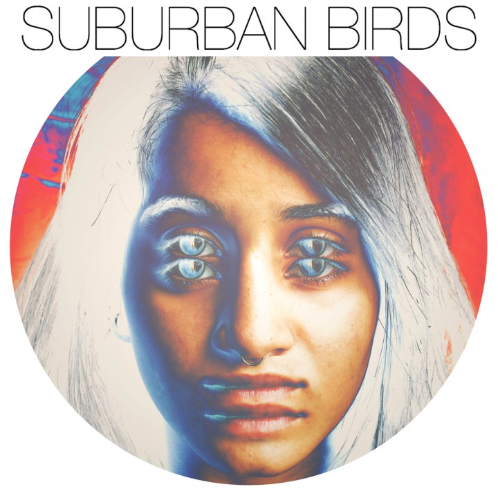 MM Shorts 727: Suburban Birds