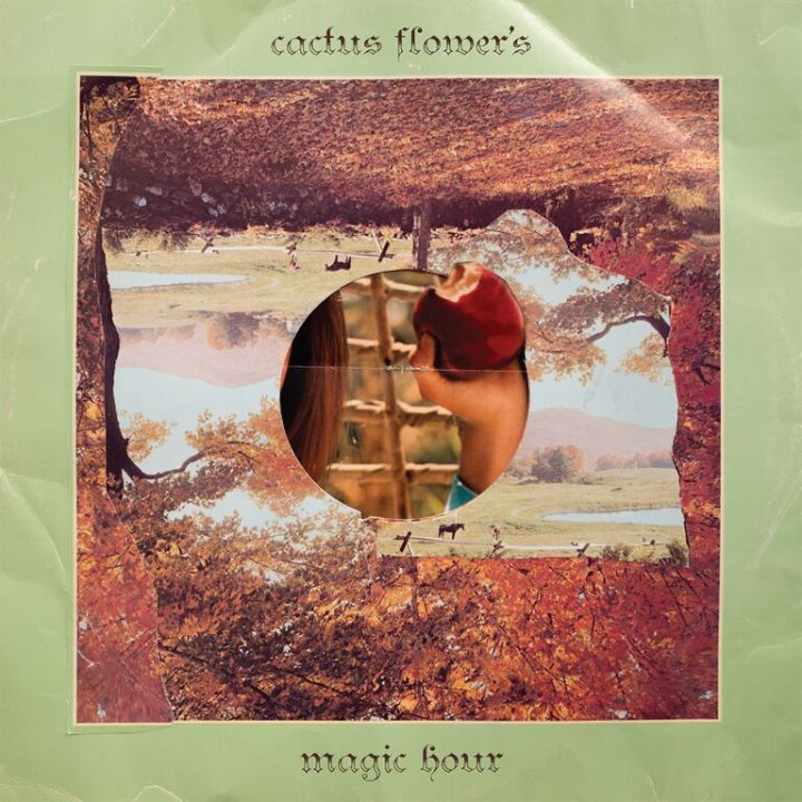 Introducing >>> Cactus Flower