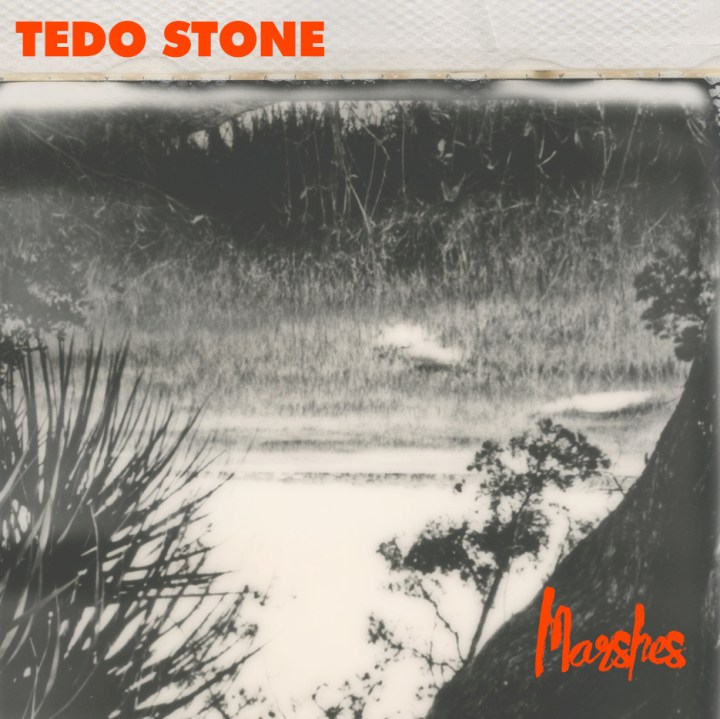 MM Shorts 779: Tedo Stone