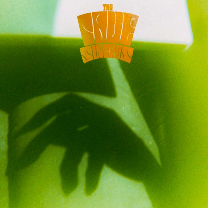 Return of the Cave Singers