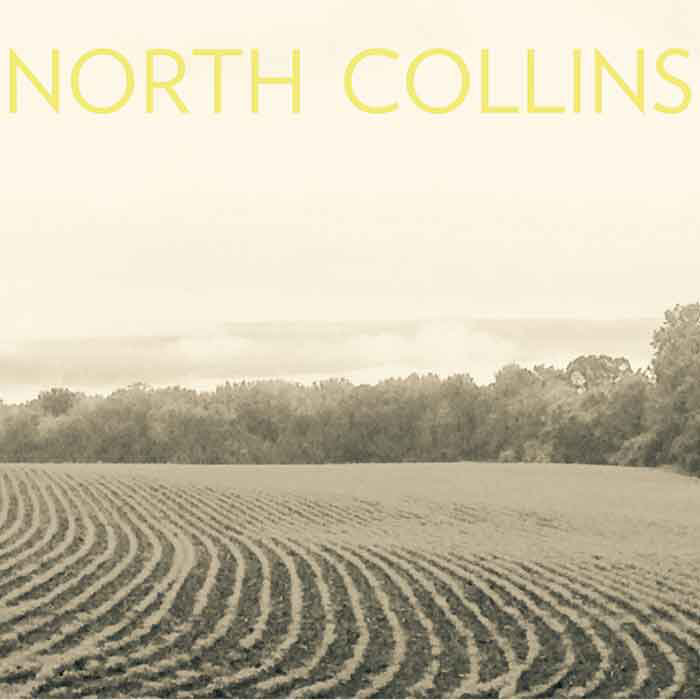 MM Shorts 793: North Collins
